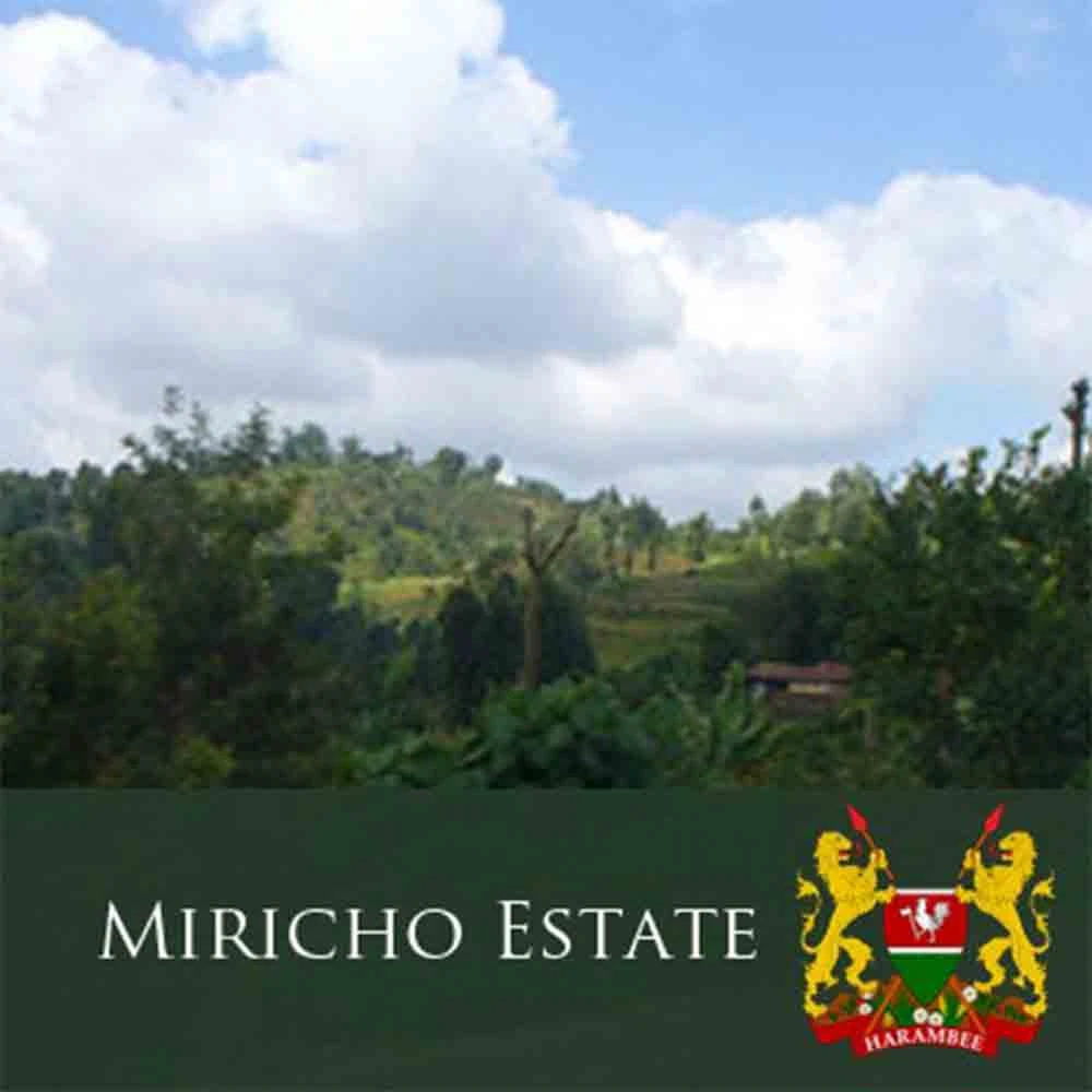 J Martinez Kenya AA Miricho Estate Medium Roast 4 J Martinez Kenya AA Miricho Estate Medium Roast - Image 2