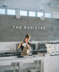 Brewista Artisan Electric Gooseneck Kettle - Pearl White 13 Brewista Artisan Electric Gooseneck Kettle - Pearl White -Coffee Supplies Store IMG 2932newlogo