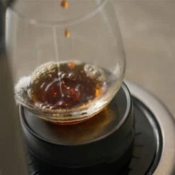 The Breville Precision Brewer® Glass 20 The Breville Precision Brewer® Glass -Coffee Supplies Store PrecisionBrewerGlass CupRiser jpg