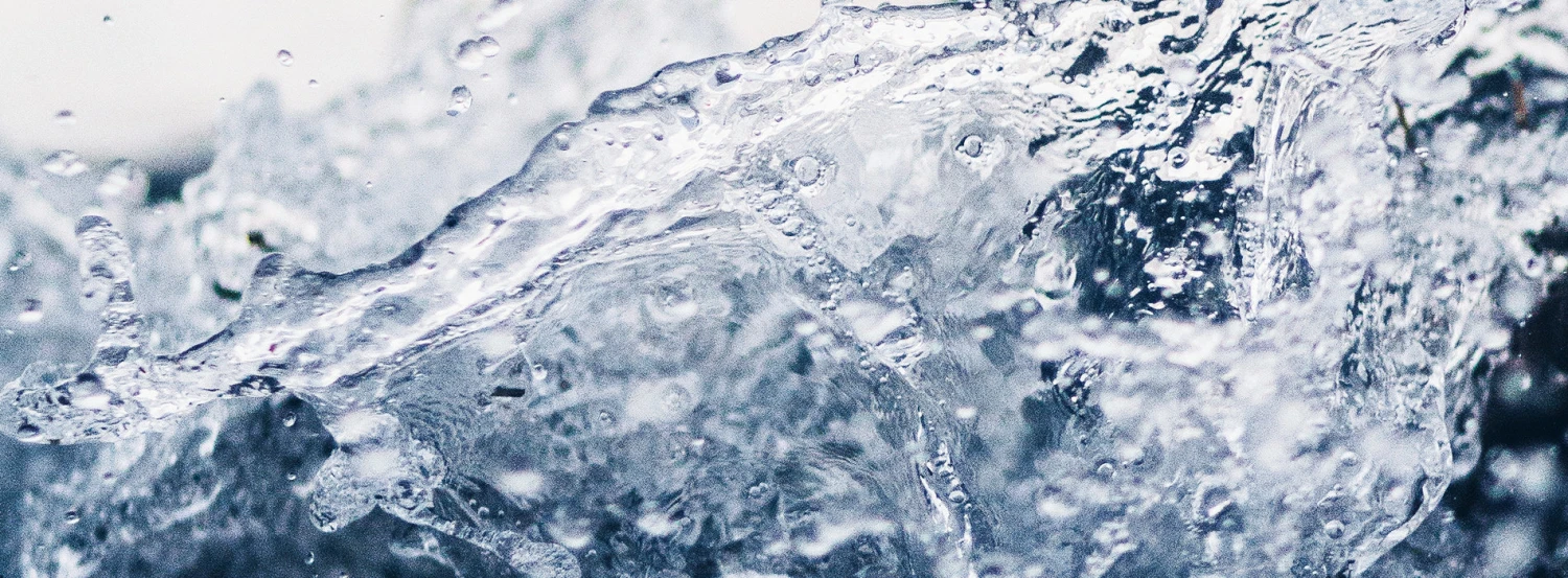 Capresso ST600 Charcoal Filters - Image 2