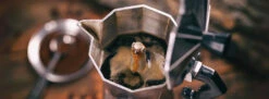Bialetti Venus 4-Cup Stainless Steel Moka Pot 9 Bialetti Venus 4-Cup Stainless Steel Moka Pot -Coffee Supplies Store stovetop espresso 56545e41 3cf6 48c0 84ad 8826f464deae